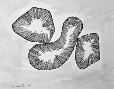 Urs Kupferschmied Tuschzeichnung