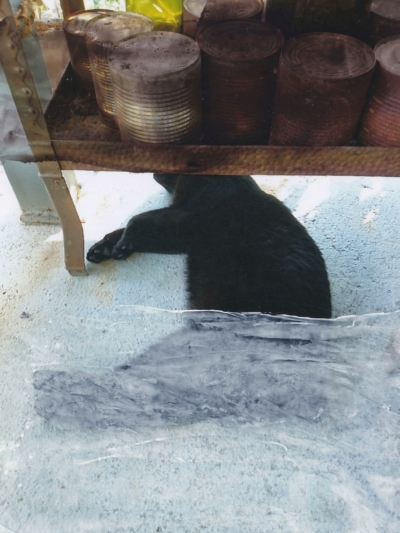 Imitate 1 - zwischen Leben und Tod